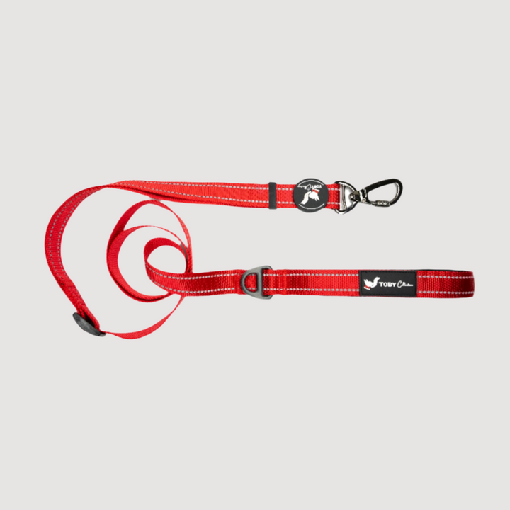 Premium Dog Leash