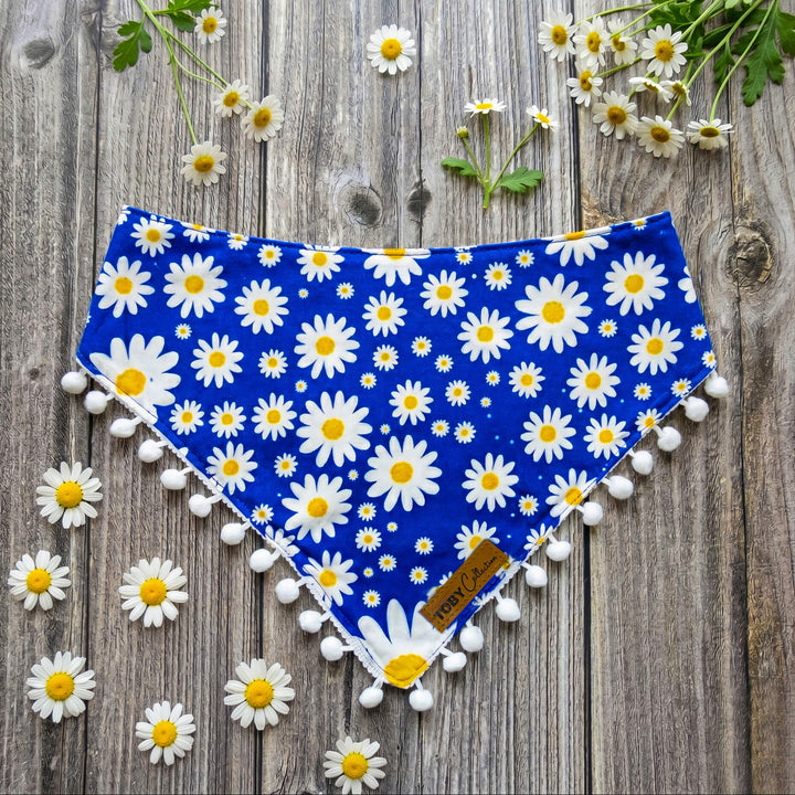 Daisy Blue Dog Bandana