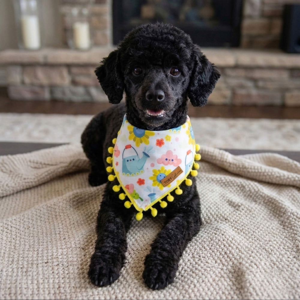 Black puppy wearing a colorful bandana sitting on a textured surface with a fireplace in the background.