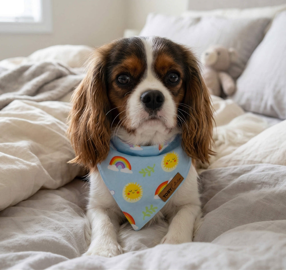 Dog wearing a colorful bandana sitting on a bed