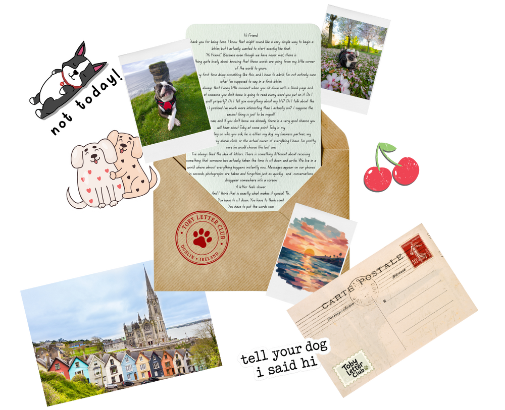 A flat-lay arrangement of dog-themed stationery items on a white background, including a kraft envelope, postcard, letter, photos, stickers, and a small cherry illustration.