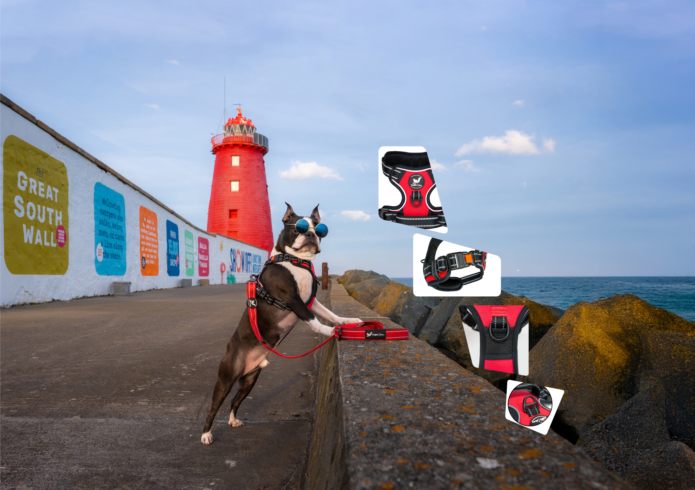 Dog on a leash with a lighthouse and coastal scenery in the background