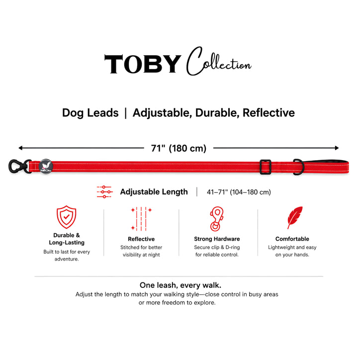 Dog leash with adjustable length measurement and features on a white background, branded as 'Toby Collection'.