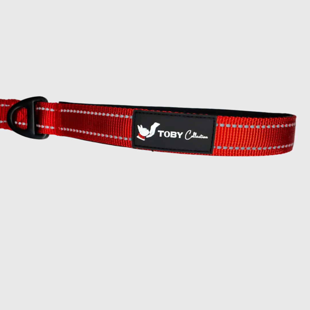 Red dog collar with a black label on a light gray background