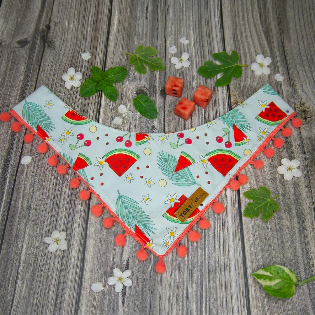 Dog bandana with watermelon pattern on a wooden surface with flowers and leaves.