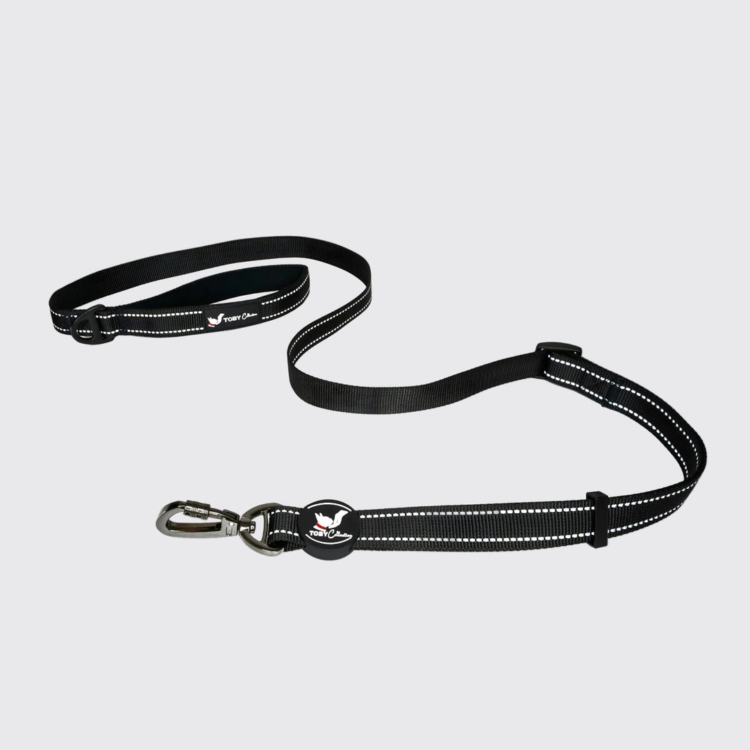 Black dog leash with reflective strip on a white background