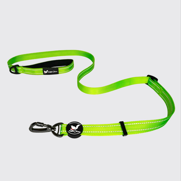 Green dog leash with reflective strip on a white background