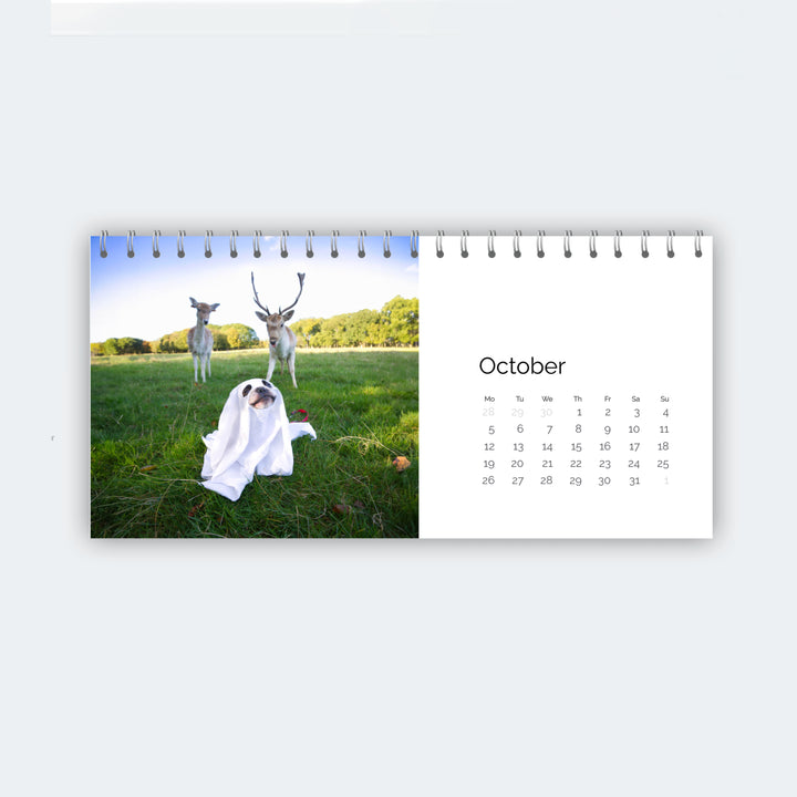 Calendar with a photo of deer and a ghost in a field on a white background