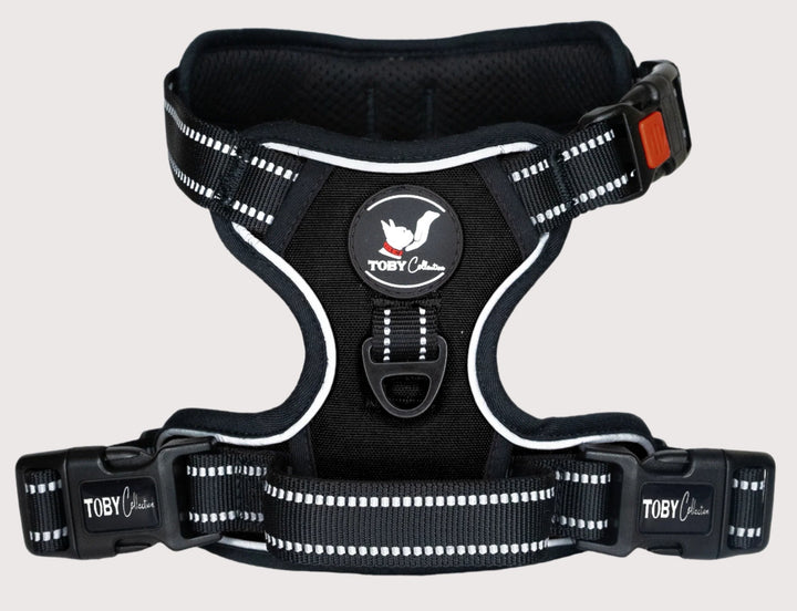 Triple Buckle Harness - Black