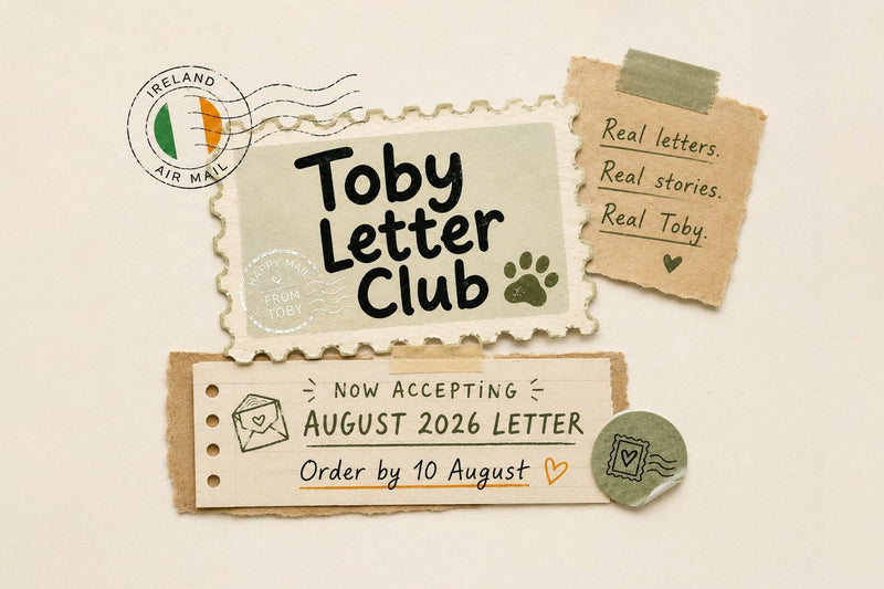 A flat-lay product shot of a 'Toby Letter Club' stationery set on a warm off-white background. The set includes a central cream-colored stamp-shaped card, a small kraft paper note, a horizontal ticket-style card with text, a green circular stamp, and a small round pin.