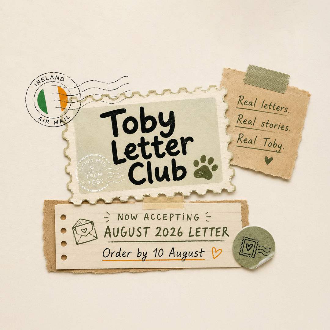 A flat-lay illustration of a postcard-style stationery set with the text 'Toby Letter Club,' a postmark reading 'Ireland Air Mail,' a note saying 'Now accepting August 2026 letter Order by 10 August,' and a small round stamp, all arranged on a warm cream background.