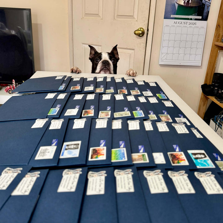 A Boston Terrier dog peers over a table covered with many blue album folders, each holding a small printed card or ticket. The photo is taken in a home interior with a door, TV, wall art, calendar, and shelving visible in the background.