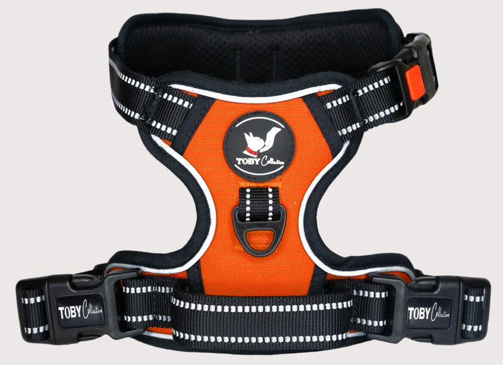 Triple Buckle Harness - Orange