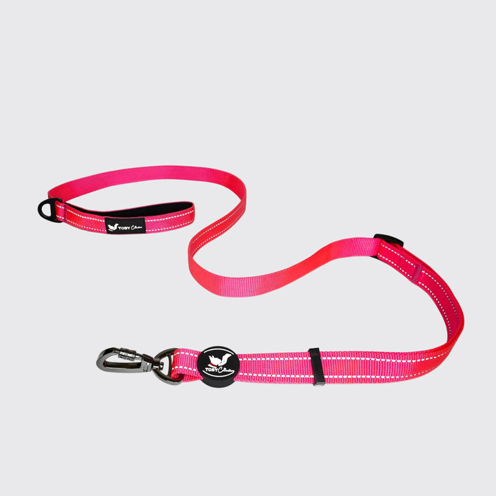 Pink dog leash with reflective strip on a white background
