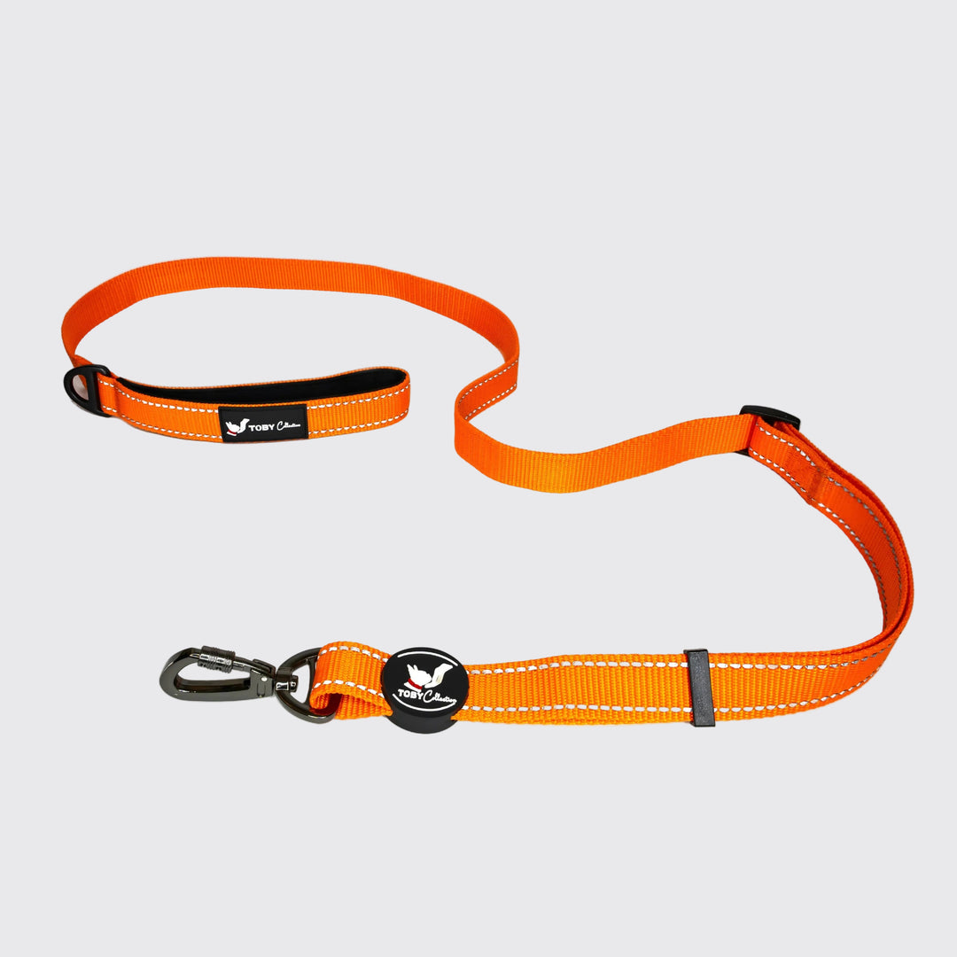 Orange dog leash with black clip on a white background