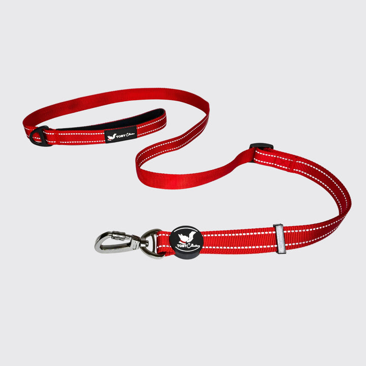 Red dog leash with reflective strip on a white background