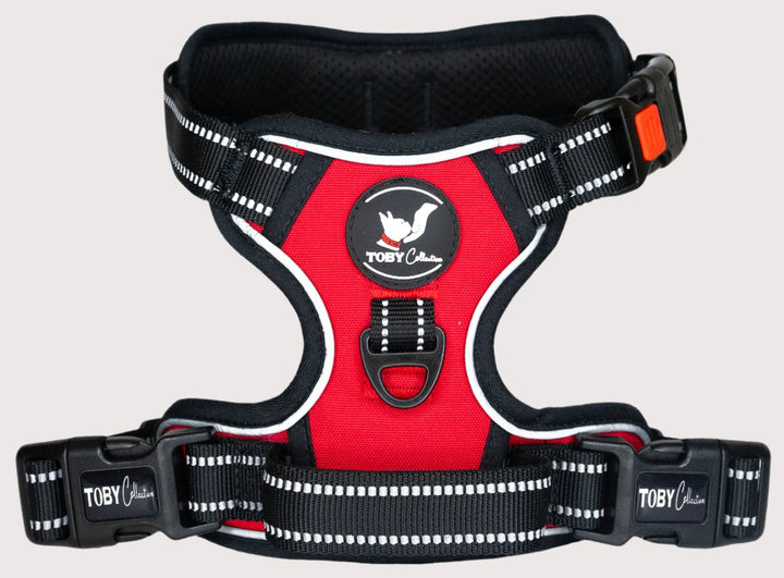 Triple Buckle Harness - Red