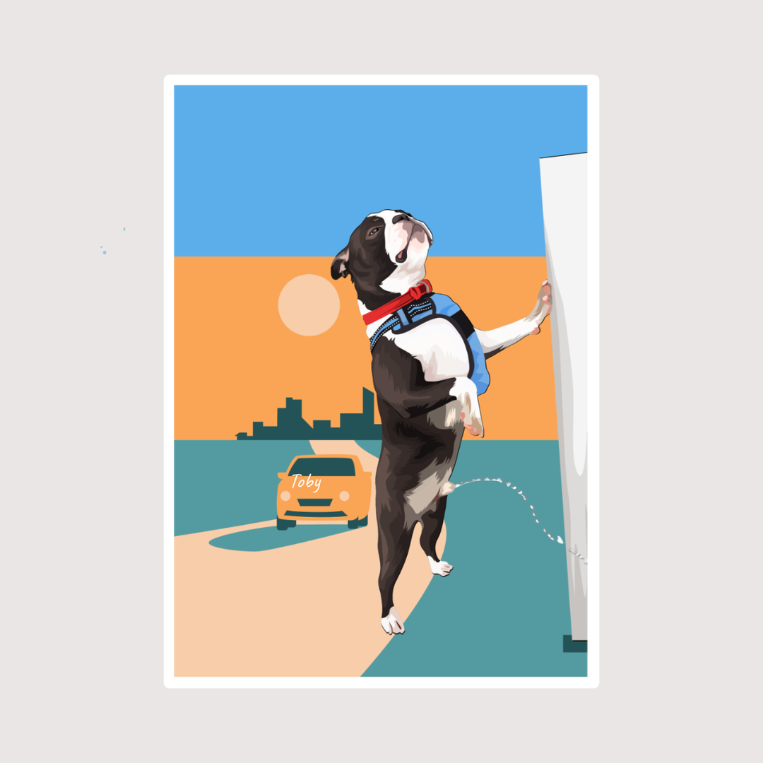 A cartoon sticker of a Boston terrier dog peeing on a pole.