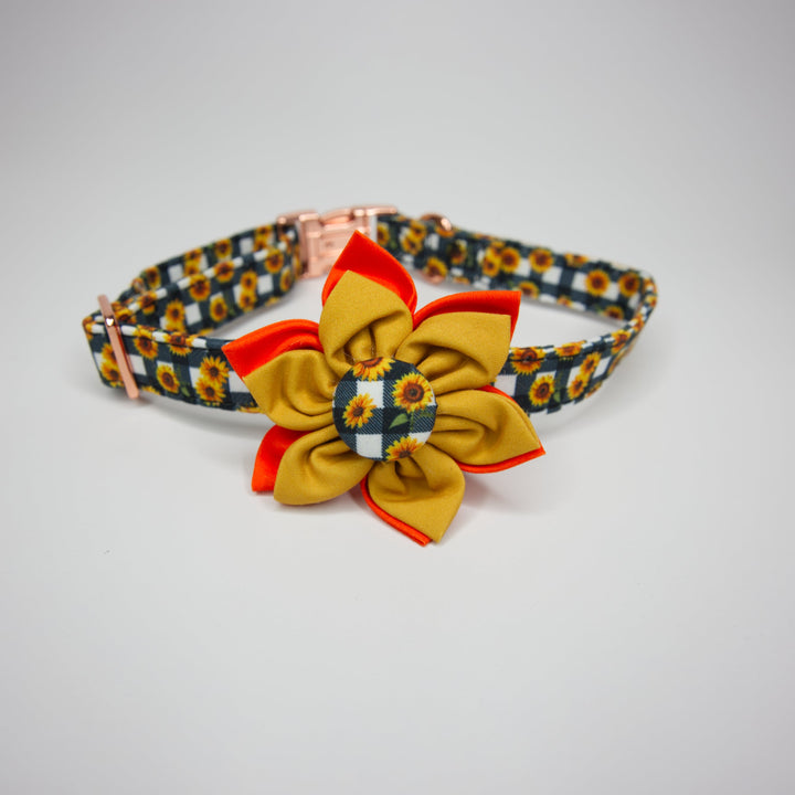 Dog collar with floral design and sunflower pattern on a gray background