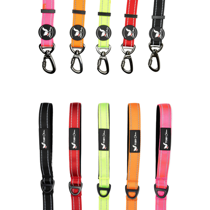The entire collection of Toby Collection dog leads, featuring all five available colors: red, orange, green, pink, and black.