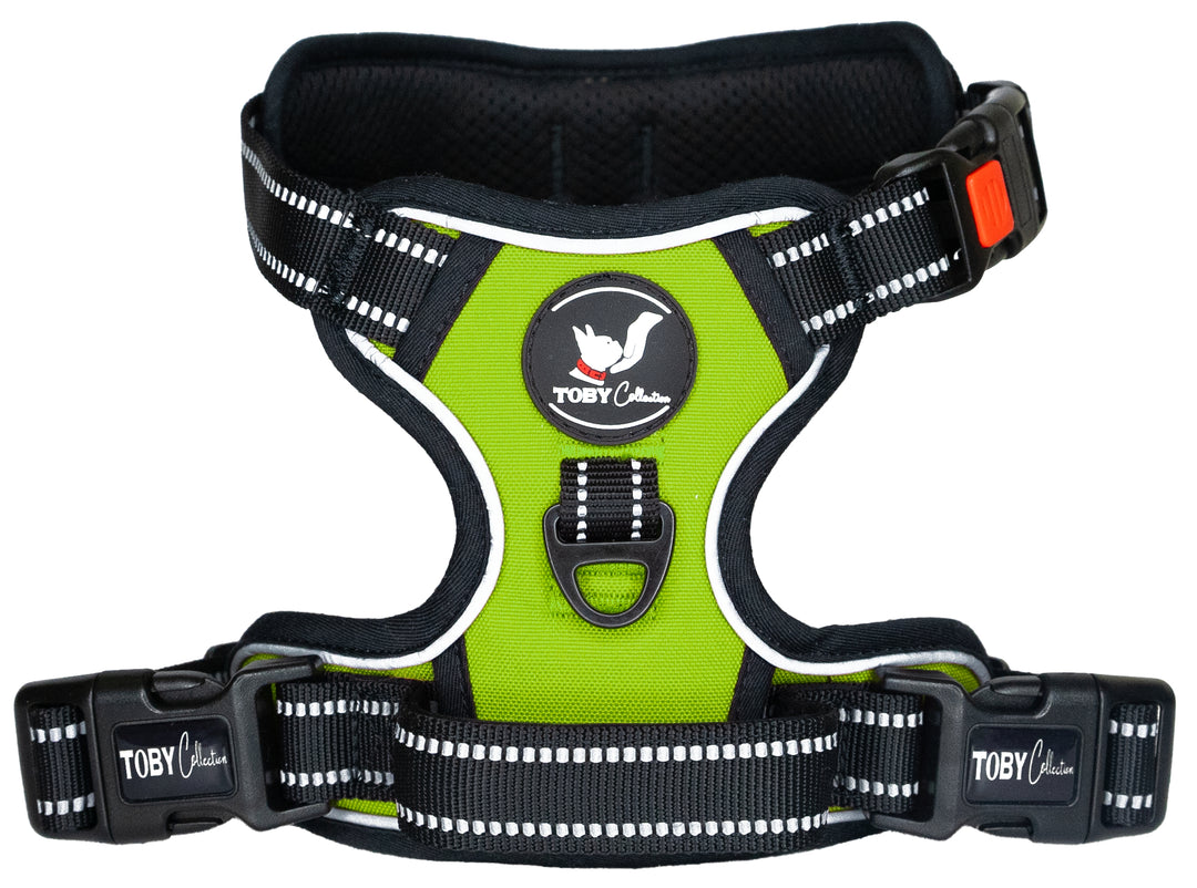 Close-up of a green Toby Collection no-pull dog harness, showing the reflective stitching and durable buckles.