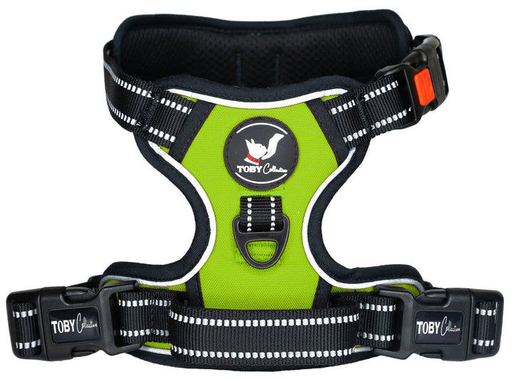 Close-up of a green Toby Collection no-pull dog harness, showing the reflective stitching and durable buckles.