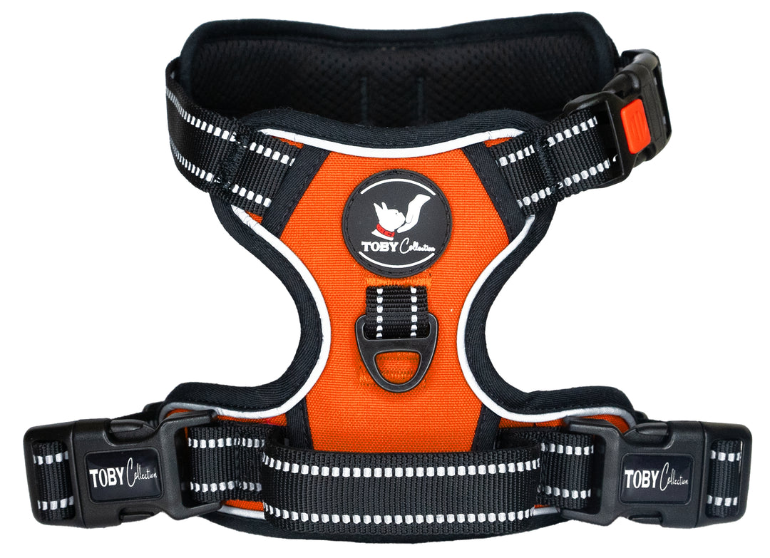 Close-up of a orange Toby Collection no-pull dog harness, showing the reflective stitching and durable buckles.