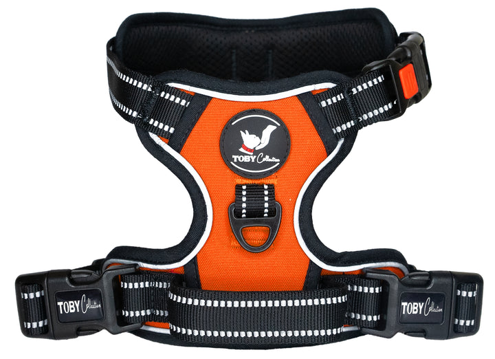 Close-up of a orange Toby Collection no-pull dog harness, showing the reflective stitching and durable buckles.