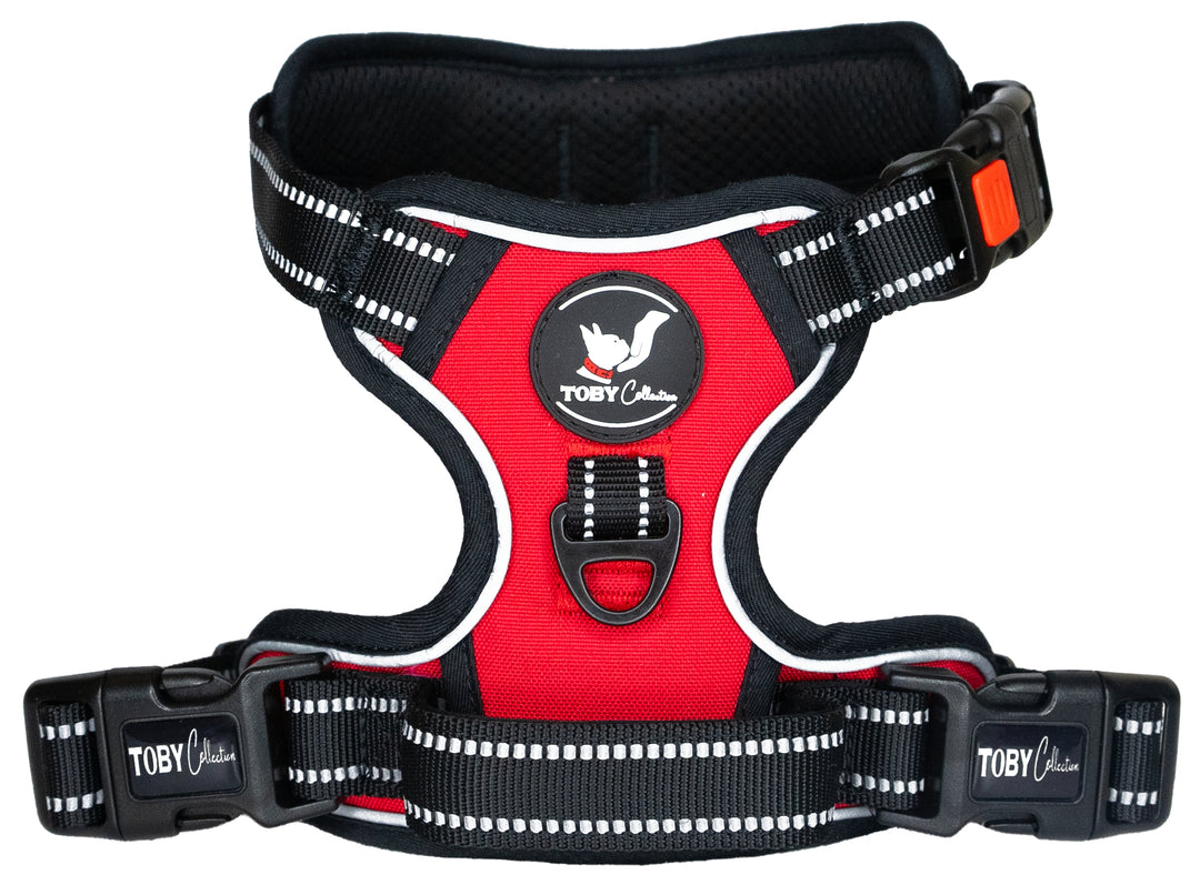 Close-up of a red Toby Collection no-pull dog harness, showing the reflective stitching and durable buckles.