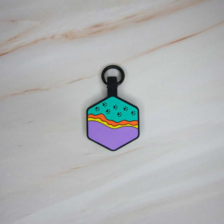 A personalized Toby Collection hexagonal dog tag with a paw pattern