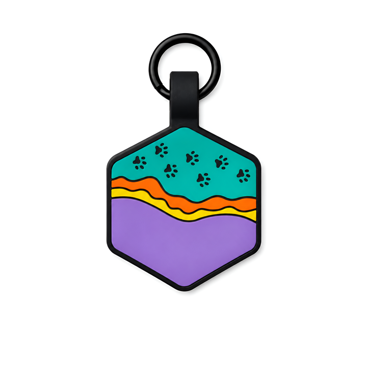 Hexagonal dogtag with colorful design on a white background