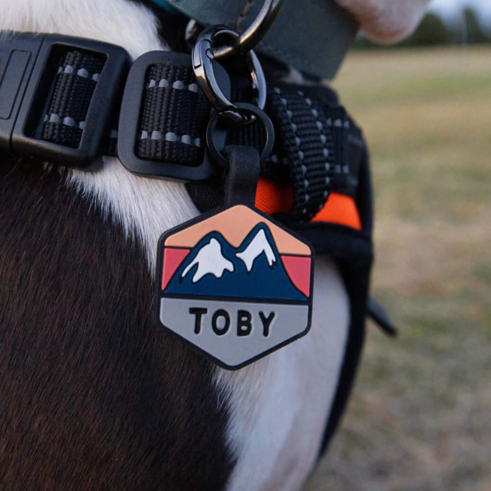 A personalized Toby Collection hexagonal dog tag with a blue mountain design is worn on a black and white Boston terrier.