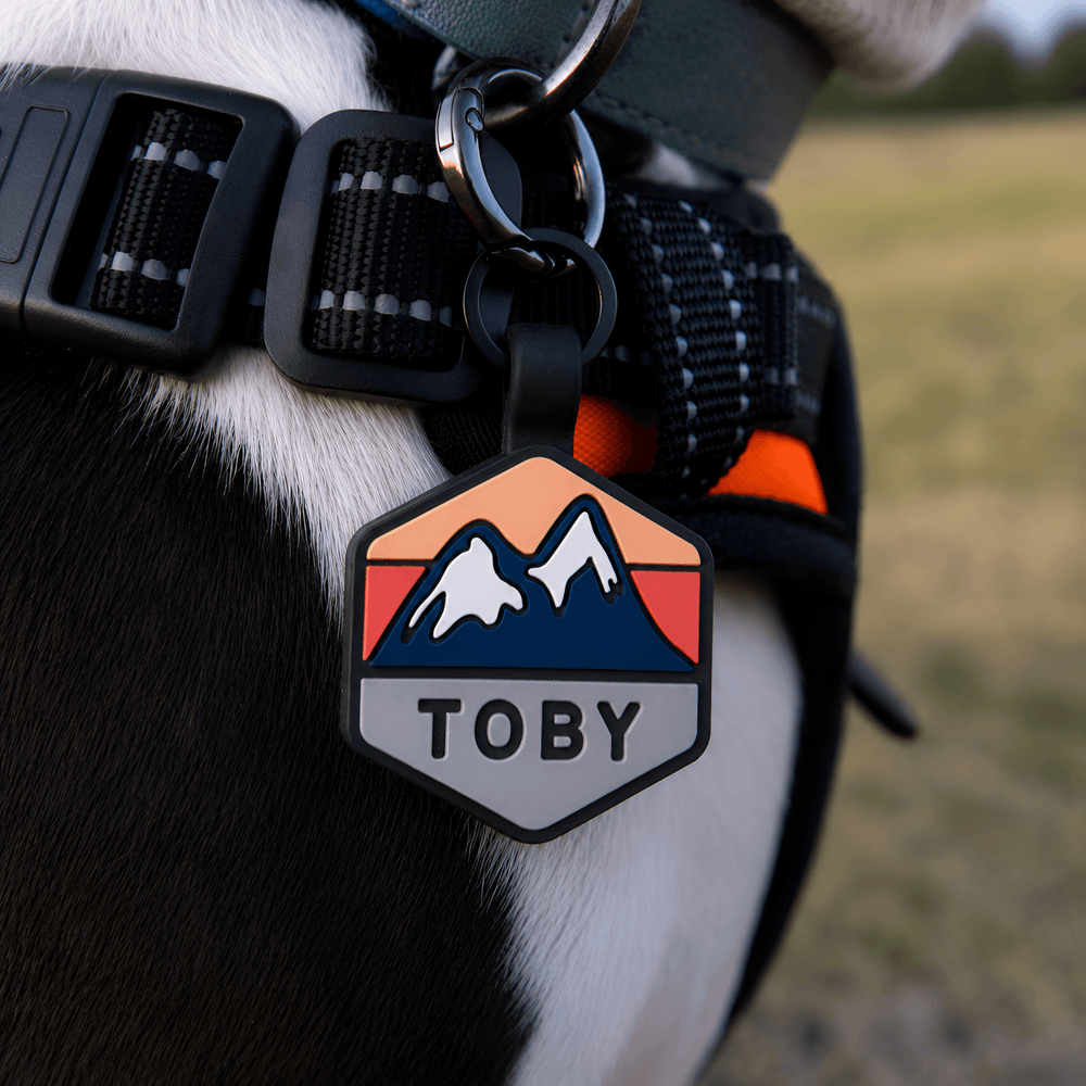 Dog collar with a name tag labeled 'Toby' featuring mountain designs.