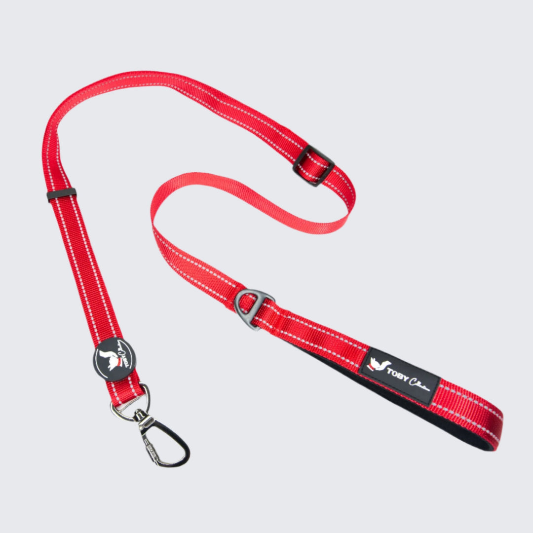 A Toby Collection dog leash in a vibrant red color, designed for durability and comfort.