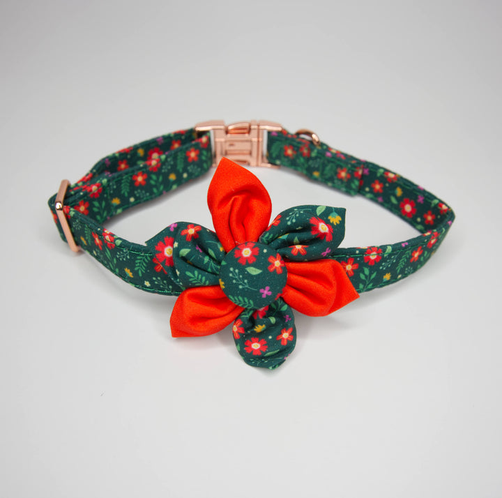 A Toby Collection dog collar with a red and green flower pattern on a green background.