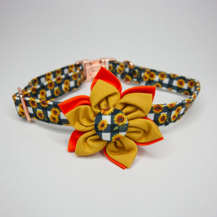 A stylish Toby Collection dog collar with a sunflower pattern and a prominent yellow flower accessory.