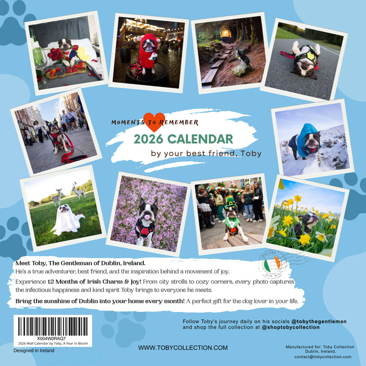 2026 Wall Calendar