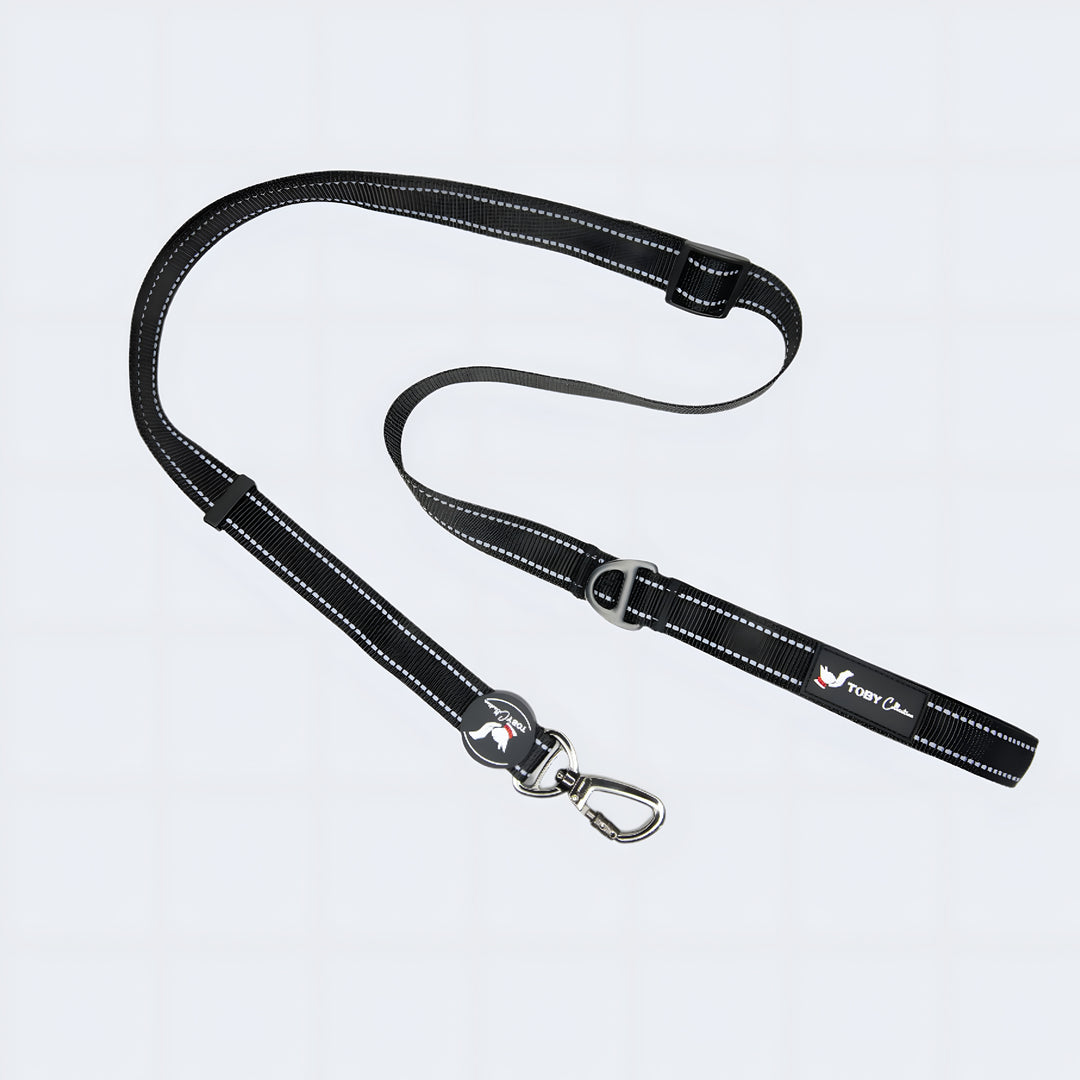 Black dog leash with reflective striping on a light gray background