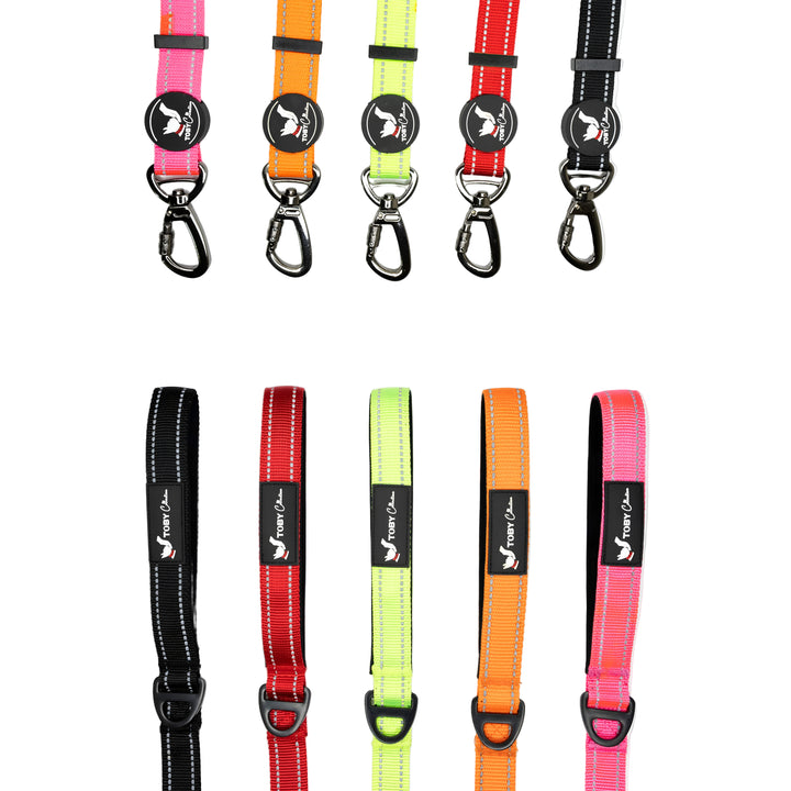 Set of colorful dog leashes with carabiners on a white background