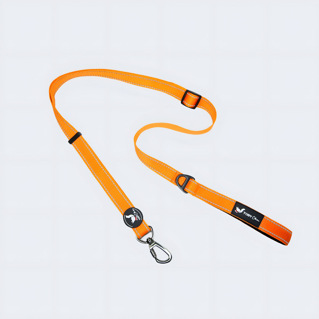 Orange dog leash with a clip on a light gray background