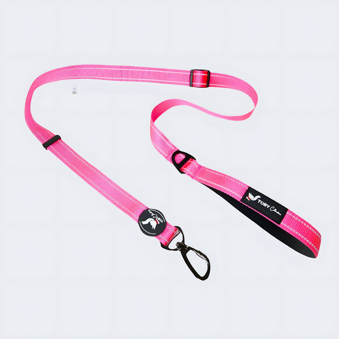 Pink dog leash with black clip on a light gray background