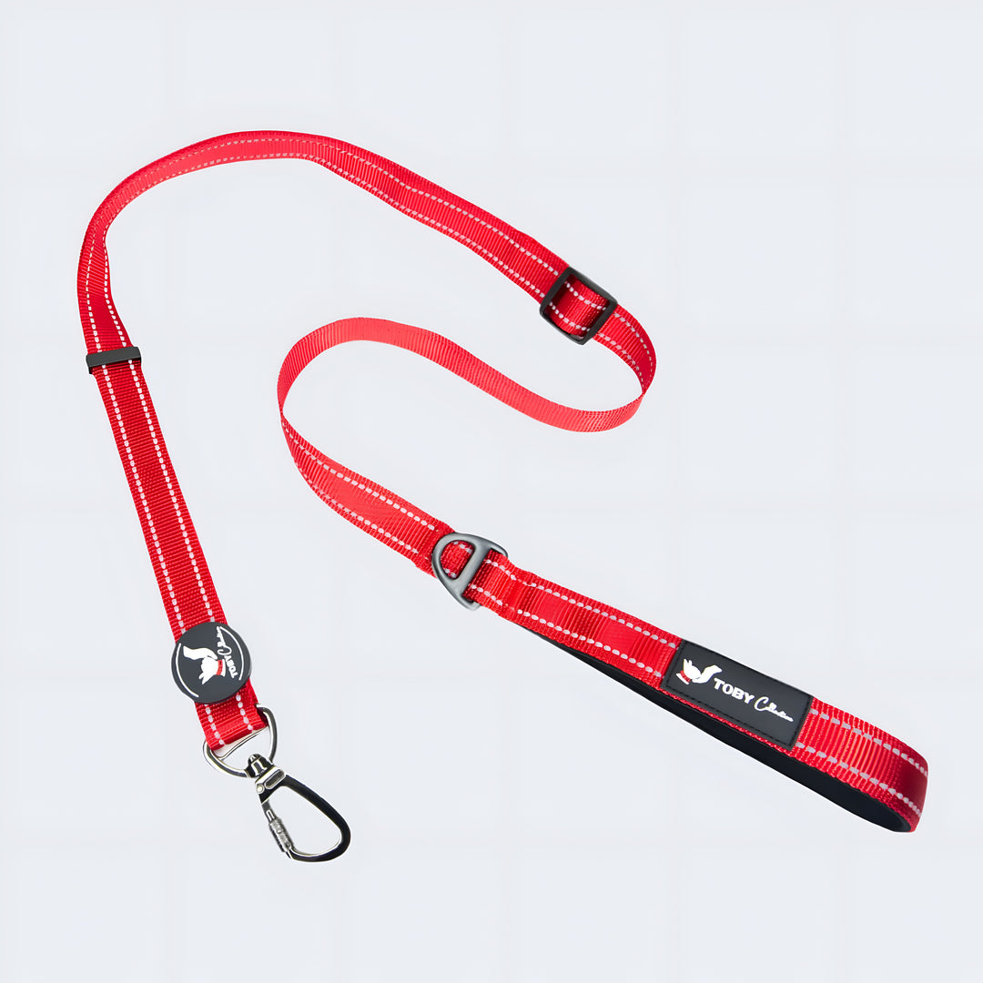 Red dog leash with a metal clip on a light gray background