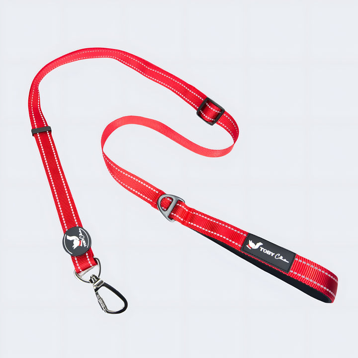 Red dog leash with a metal clip on a light gray background