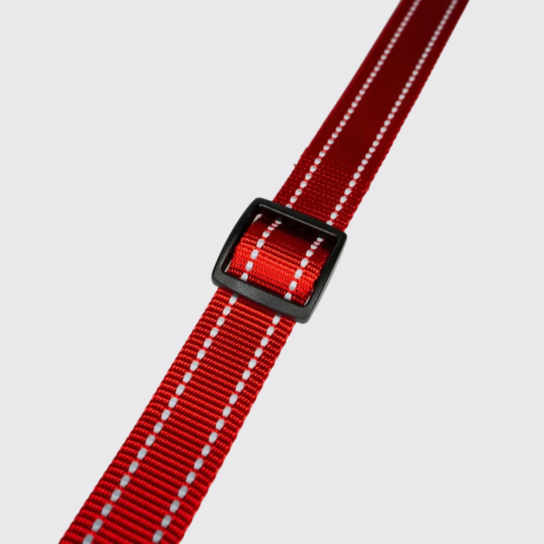 Red and white striped belt with a black buckle on a light gray background