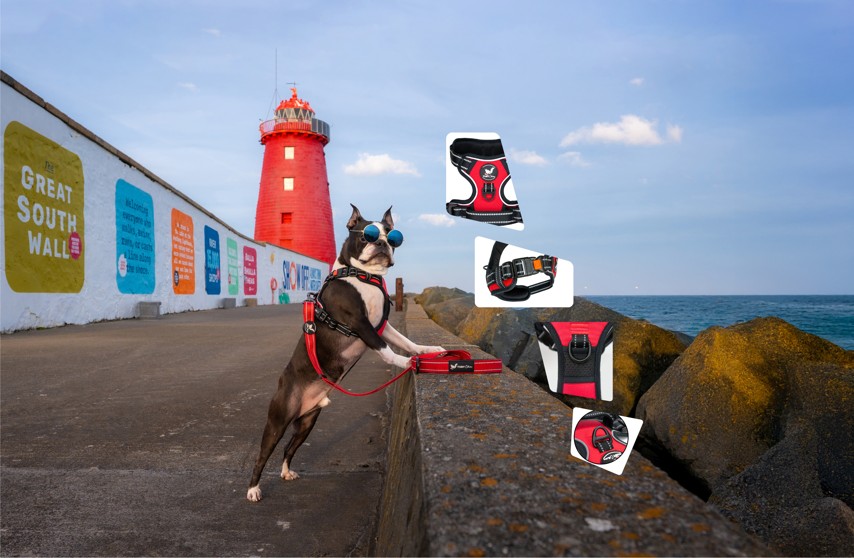 Dog on a leash with a lighthouse and ocean in the background
