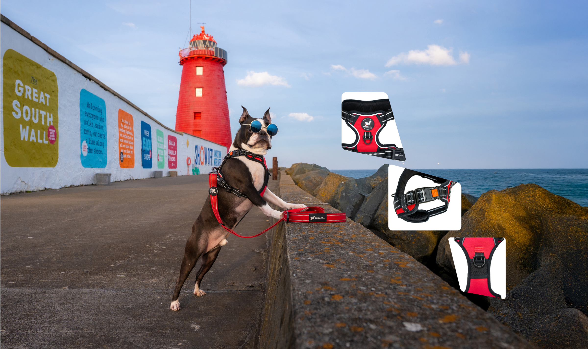 A Boston terrier dog wearing a red and black harness stands on a concrete pier next to the ocean, with a red lighthouse and a wall covered in colorful signs in the background. Three floating product cutouts of the dog harness are shown on the right side of the image.