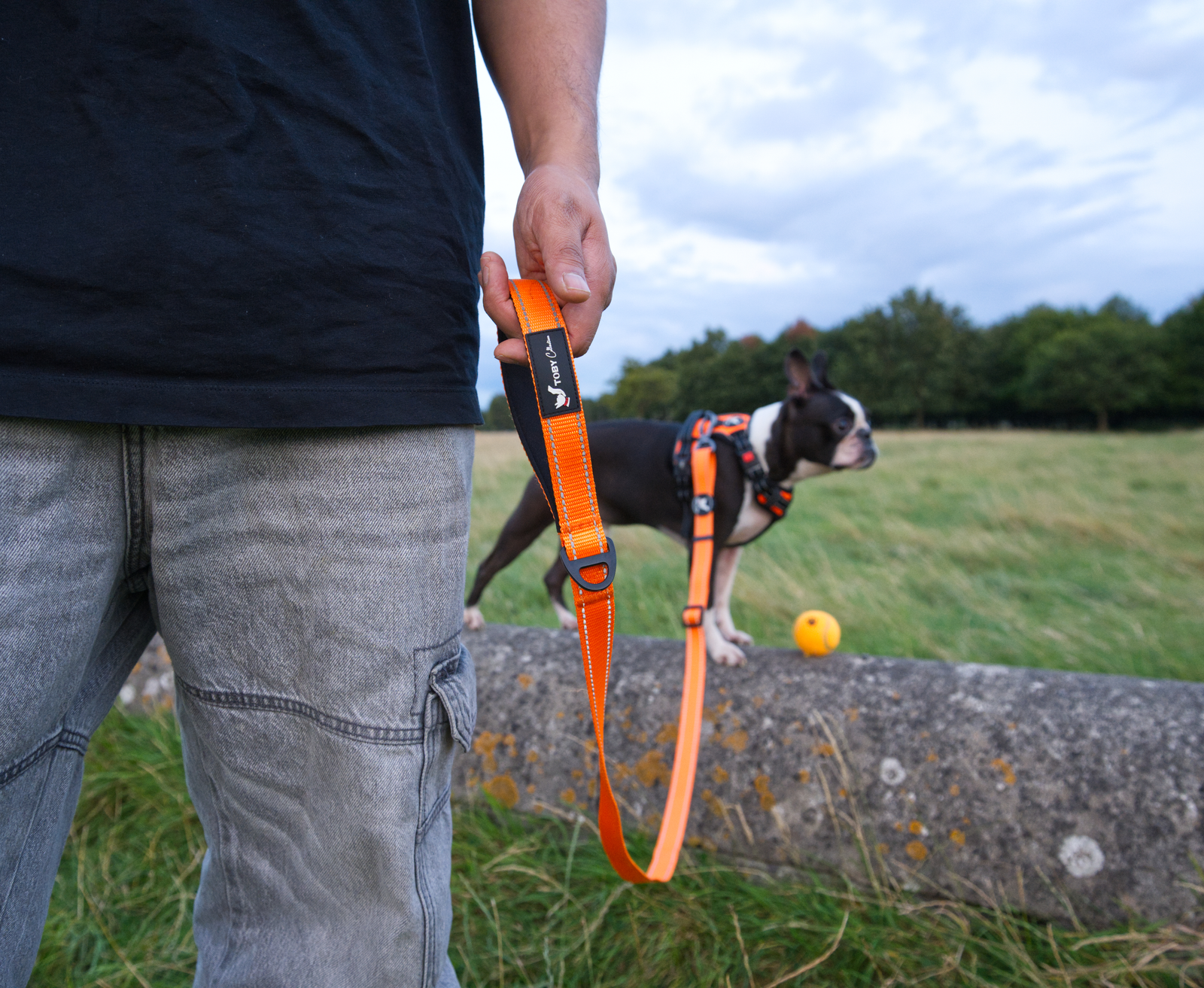 Person holding an orange dog leash with a black and white dog in the background