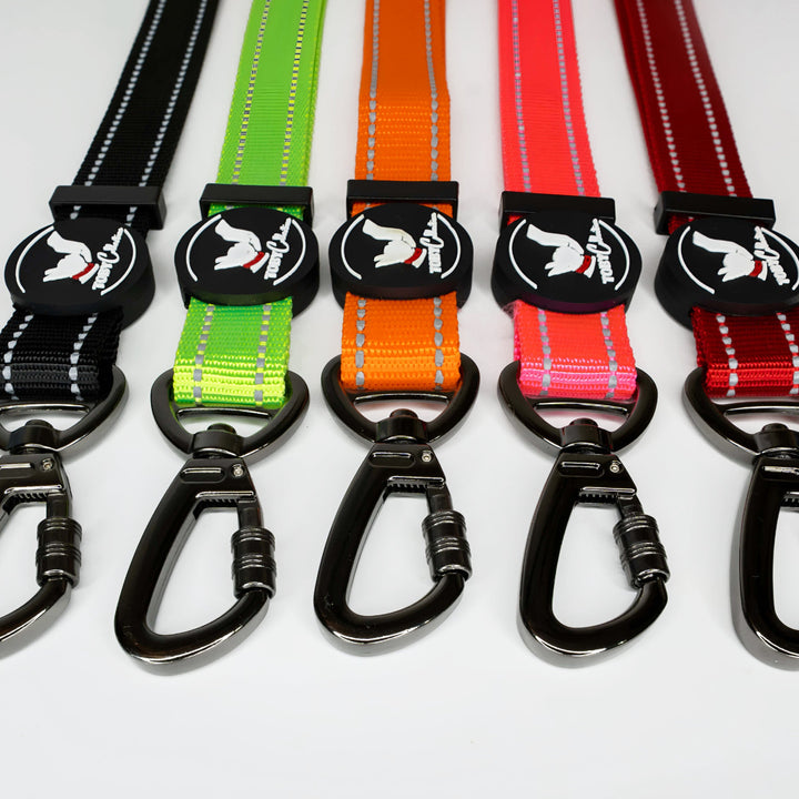 Five dog leashes in black, green, orange, red, and red with white pattern on a white background.