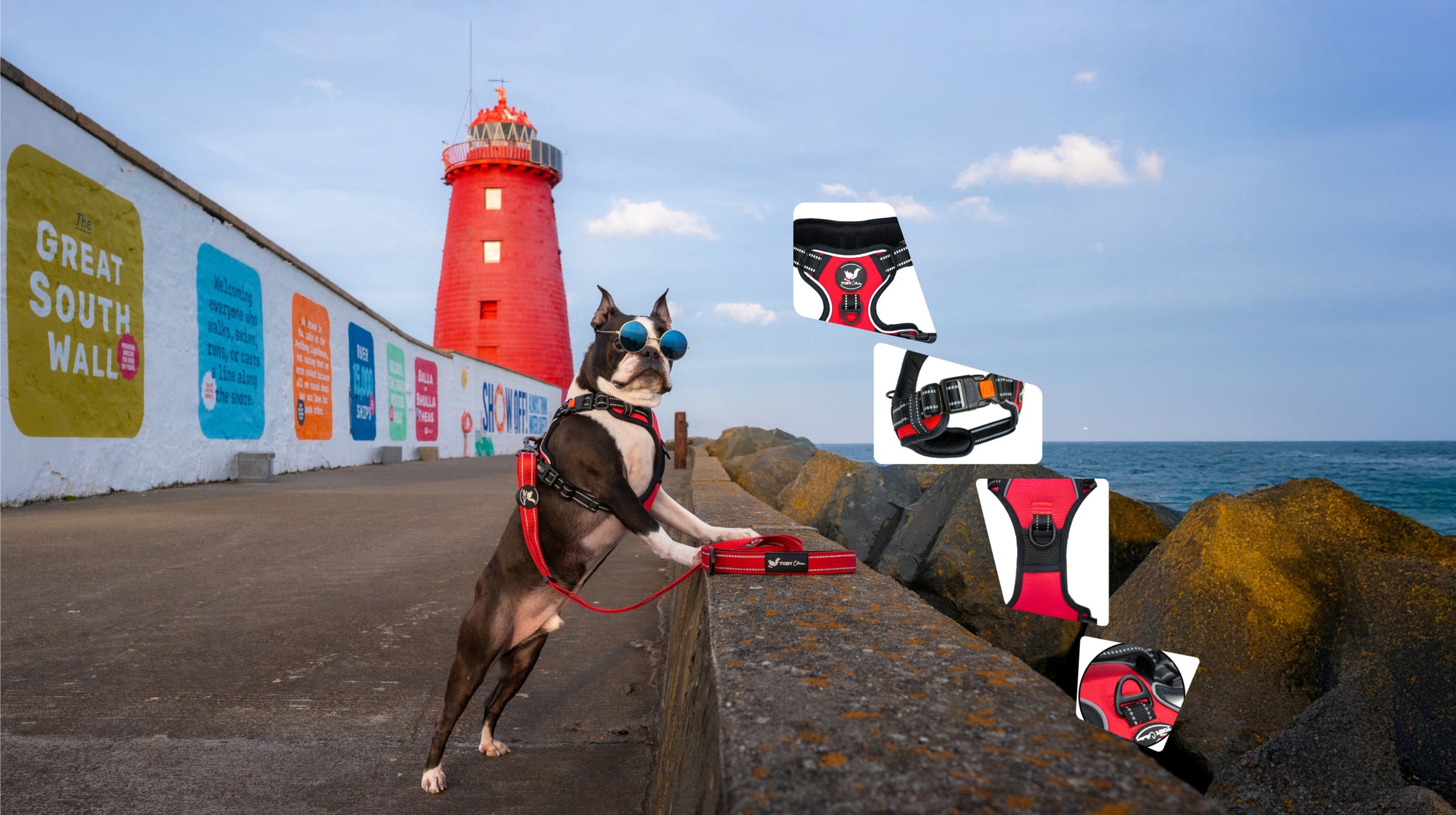 Dog on a leash with a red lighthouse and ocean in the background