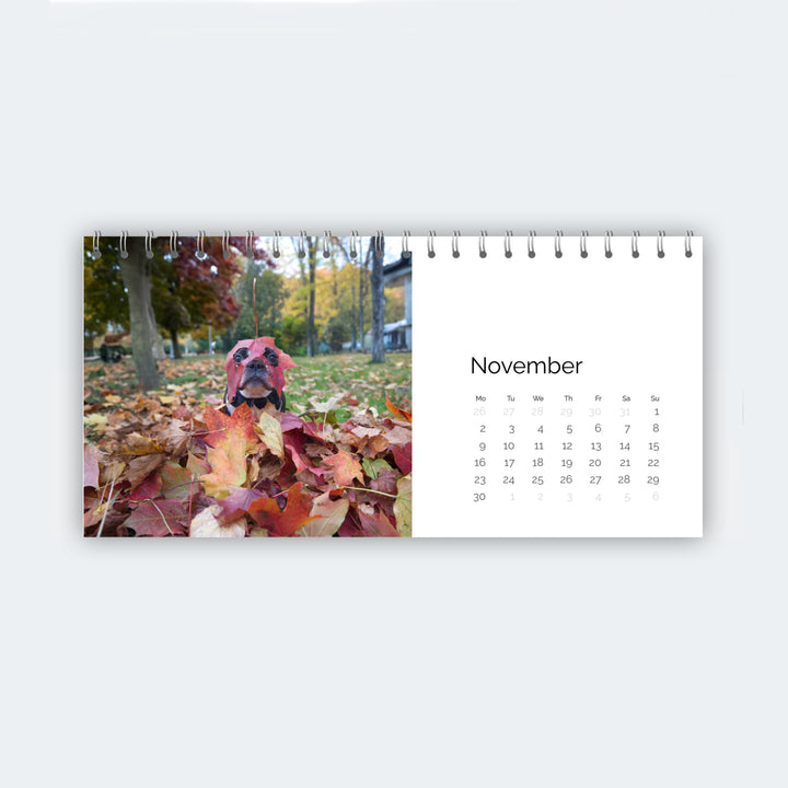 Calendar with a turkey surrounded by leaves on a white background